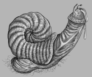 "Dick Snail" - This was done for some cheap laughs at work, because DICK SNAIL!