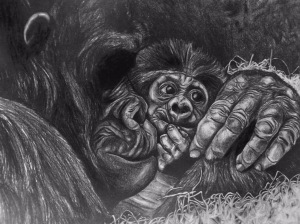 "Gorillas" - A pencil rendering based on a photo.  Made (and presumably destroyed) by an ex-girlfriend.